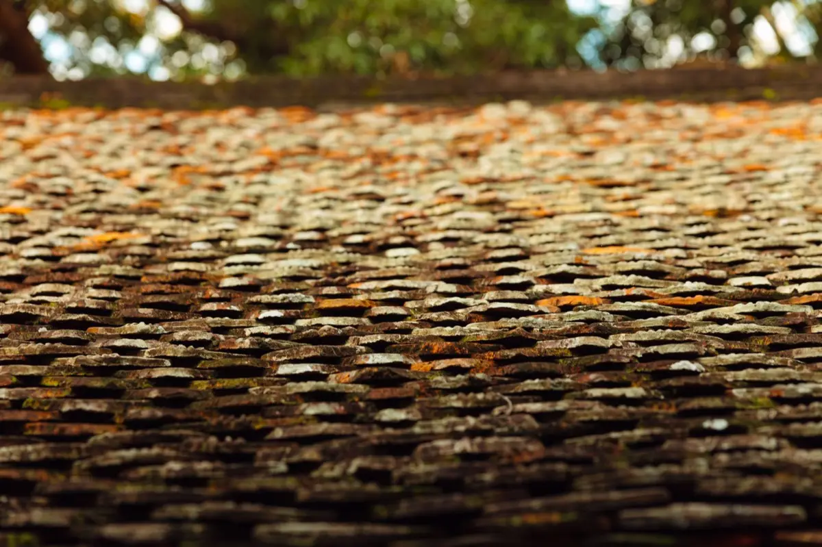 Aging shingle roof with moss growth and granule loss in Saginaw, MI